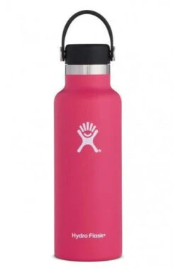 Hydro Flask 18 Oz Standard Mouth Bottles W/ Flex Cap (S18SX) -Sports Cheap Shop 703c85662284dd639d61000c1ccb78f7433870a8 600x 6d307622 038e 41a6 a118 a278fe53c049