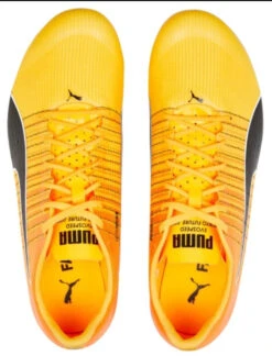 PUMA Unisex EvoSPEED Tokyo Brush 4 Track Spike -Sports Cheap Shop PumaUnisexevoSPEEDTokyoBrush4 5