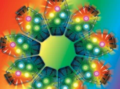 Amphipod Ultra-Strobe 2 Pack - Rainbow (4904-29) 9 Amphipod Ultra-Strobe 2 Pack - Rainbow (4904-29) -Sports Cheap Shop rainbow ultra strobe clip lights 68495